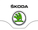 Логотип компании Шкода