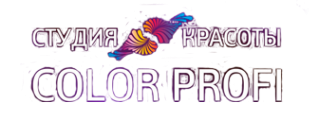 Логотип компании Color Profi
