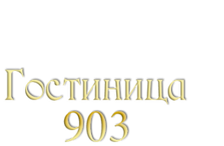 Логотип компании 903