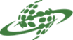 Логотип компании Таможенные системы ХХI века