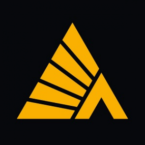 Логотип компании Деловые Линии Псков