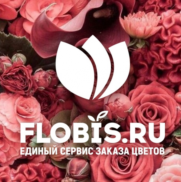 Логотип компании Flobis